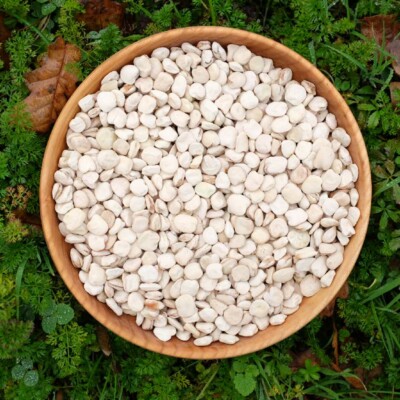 Miraculine fruits tropicaux Graines rares Graines Plantes de Cajou Potager  Bonsai Pot de fleurs 20 Pcs 9 : : Jardin