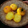 fruits de tomate Lilian's yellow heirloom bio la boite a graines