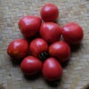 Fruits tomate petite coeur de boeuf bio semences